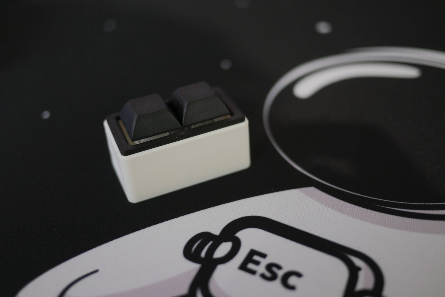 2-Key Black and White Macropad next to an astronaut